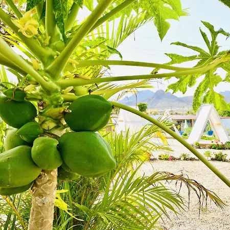 Alisios Hot Tub, Piscina Y Naturaleza Apartmán