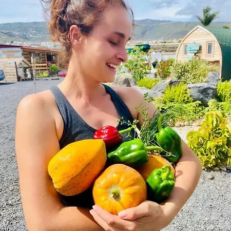 Alisios Hot Tub, Piscina Y Naturaleza Buzanada